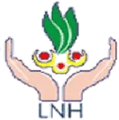 Lok Nayak Hospital logo
